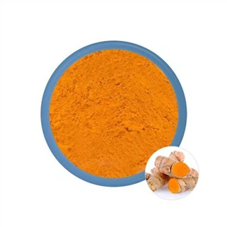 কারকিউমিন নির্যাস