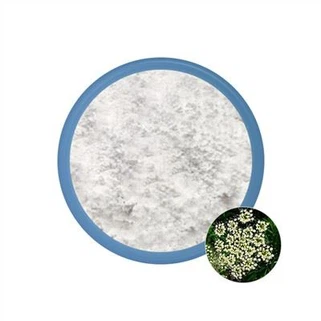 Osthole নির্যাস