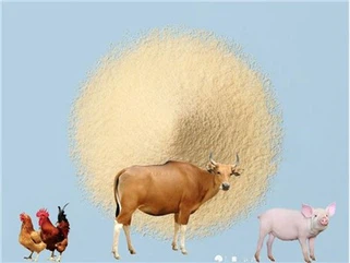 মিষ্টি হুই পাউডার